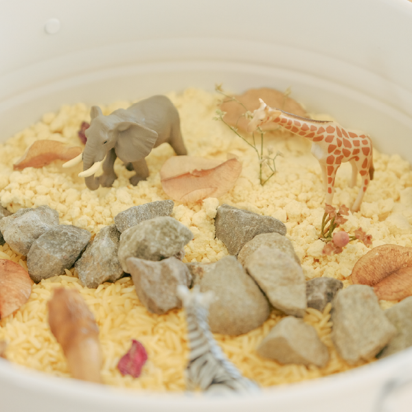 動物模型X感官遊戲素材