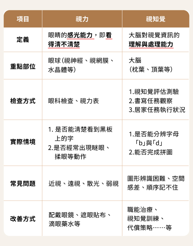 視力與視知覺
